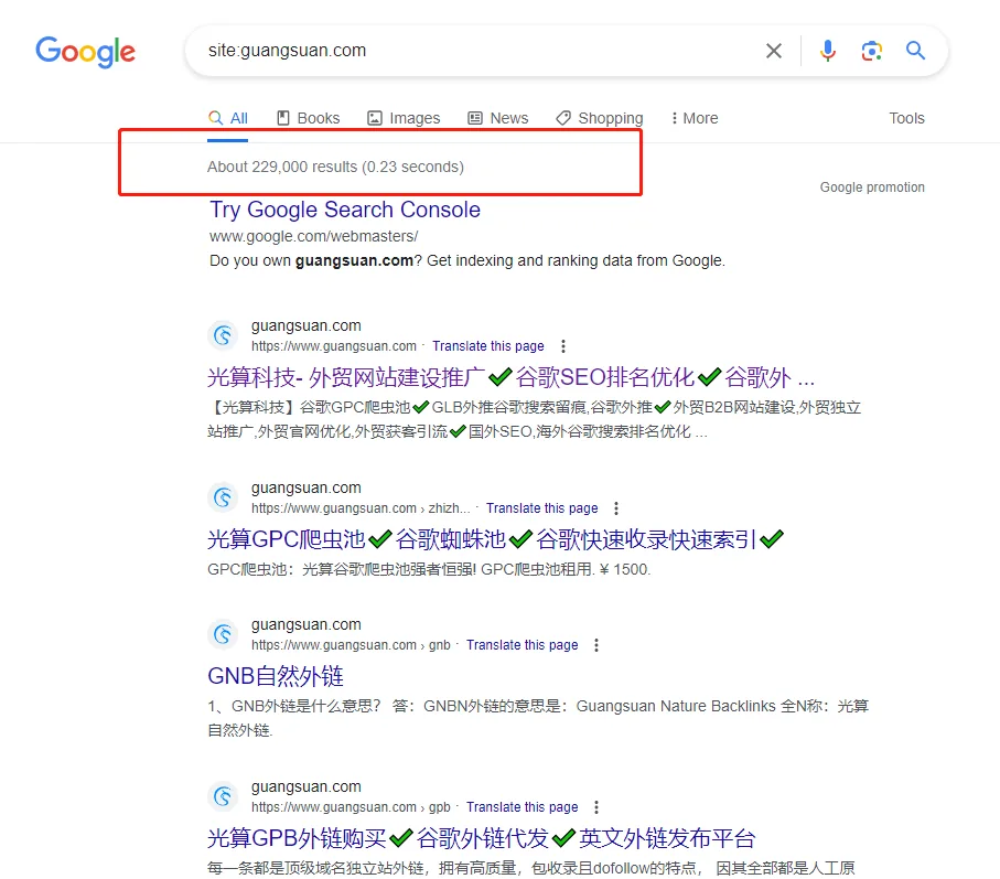 歷史Google site查詢截圖:顯示站點匹配頁面